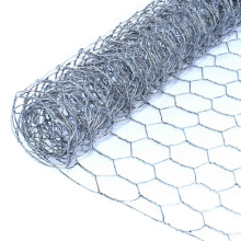 Hot Dipped Galvanized Hexagonal Wire Netting (HWN)